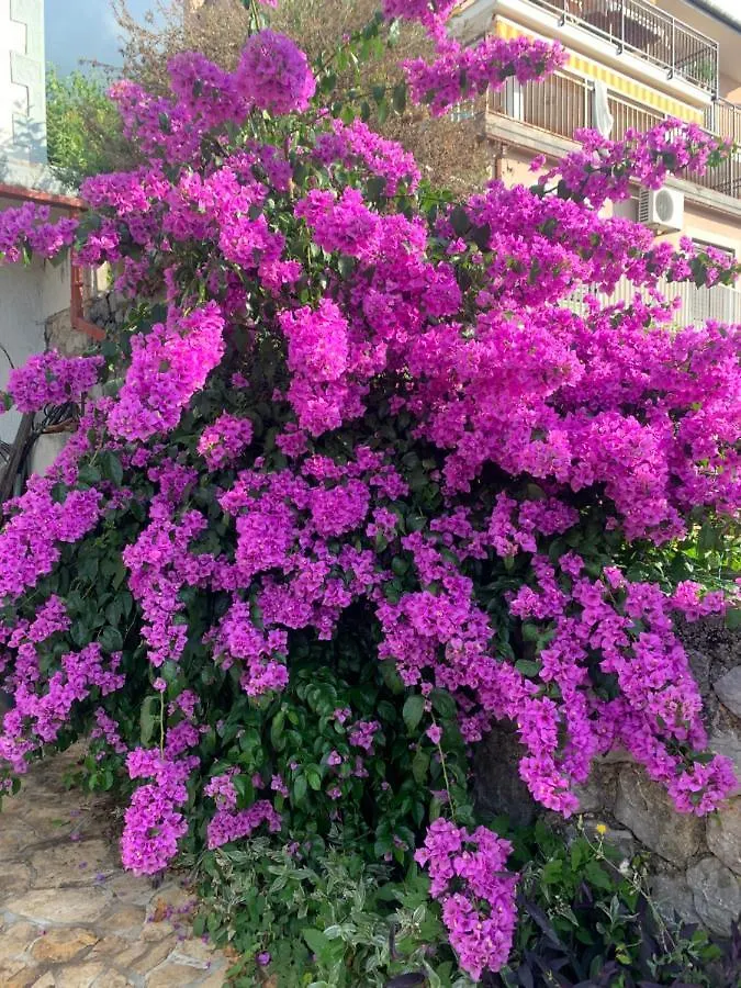 לובראן Holiday House Marica דירה